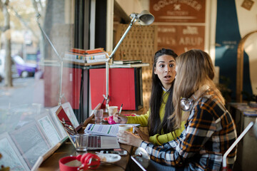 Young female college students studying in cafe