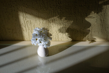 view of vase with bouquet of white flowers and plate with chocolate cupcakes near wall in sunshine 