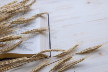 ears of wheat on open bible on white wood background with copy space