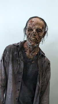Walking Zombie Decayed #4