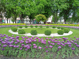 Flowers on flowerbed in city park. Flowerbed decoration
