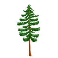 Larch tree isolated on white