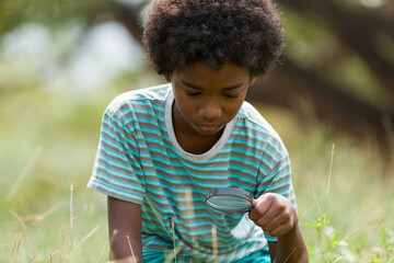 Child boy exploring nature with magnifying glass outdoor. Education, field trips, researcher and discovery concept