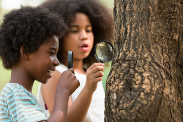 Boy and girl examining the tree stem through magnifying glass. Group of African American children exploring nature on the tree with magnifying glass. Education and discovery concept