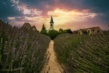 Fotobehang Church in a field, sunset with path through nature. Corn, lavender field in sunset © Jan
