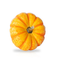 Pumpkin isolated on white background with shadow and reflection