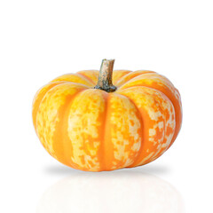 Pumpkin isolated on white background. Image with soft shadow and reflection