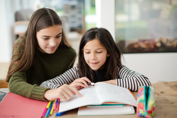 Girl helping young sister with homework