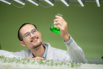 scientist working to research in agriculture green plant at biology science laboratory greenhouse,...