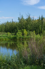Fototapeta na wymiar Pylypow Wetlands on a Late Summer Day