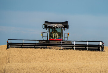 Fototapeta premium Swather in Action