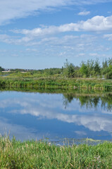 Pylypow Wetlands on a Late Summer Day