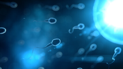 Sperm swim to ovum cell with 3d rendering in laboratory science concept.Go to goal is winner.