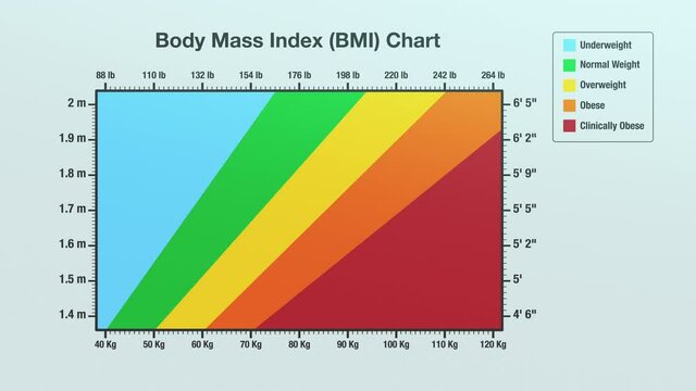 Body Mass Index Chart, infographic animation
