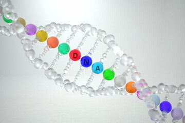 DNA molecule with text. 3D rendering