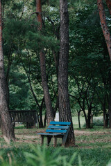 chair in the park