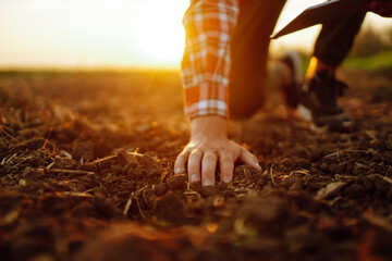 Male hands touching soil on the field. A farmer checks quality of soil before sowing. Agriculture, gardening or ecology concept. - obrazy, fototapety, plakaty