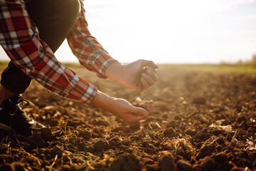 Male hands touching soil on the field. A farmer checks quality of soil before sowing. Agriculture, gardening or ecology concept.