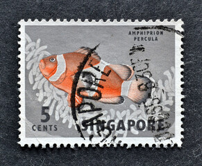 Cancelled postage stamp printed by Singapore, that shows Orange Clown Fish, circa 1962.