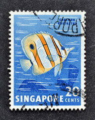 Cancelled postage stamp printed by Singapore, that shows Butterfly Fish, circa 1962.