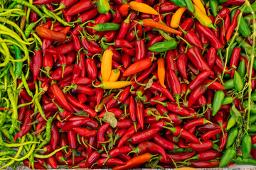 Fototapeta premium Mix of chili peppers, bell peppers, capi color assortment on vegetable market.