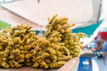 Turkish ada tea sage branches. Chinese herbal tea for healing and treatment