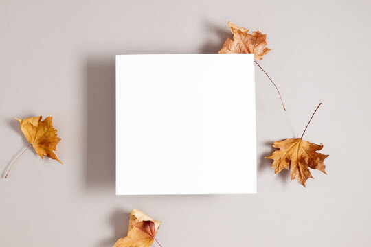 White square paper mockup and autumn leaves on gray background. Autumn composition. Flat lay, top view, copy space