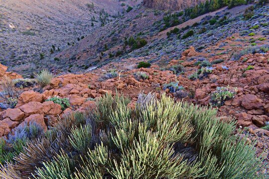Atardecer en el Teide con calima en el aire