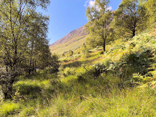 A view of the Scottish Highlands near Ben Nevis