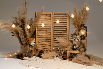 Christmas mini session background