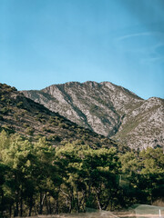 large mountains, with large green bushes and grass, the sky is blue, green trees below, a summer clear day