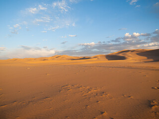 Fototapeta na wymiar Sand dunes of Khongoryn Els