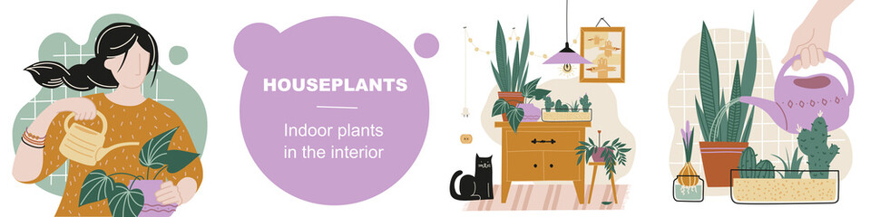 Home plants. Indoor plants in the interior. Plant care. Image set. Vector image.