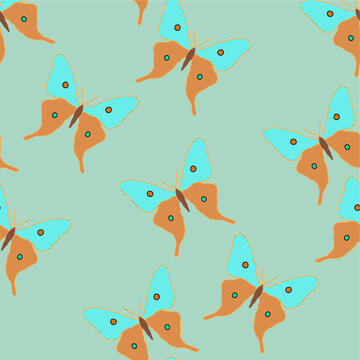 vector pattern with owls and feathers