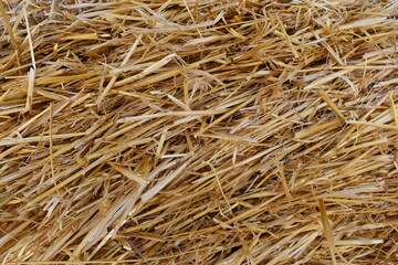 texture background straw hay mown grass