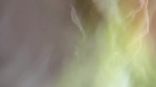 lettuce with water drop failing in slow-motion. Escarole or broad-leaf variety of vegetable for salad