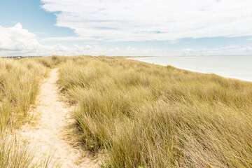 chemin sur une dune en bord de mer 