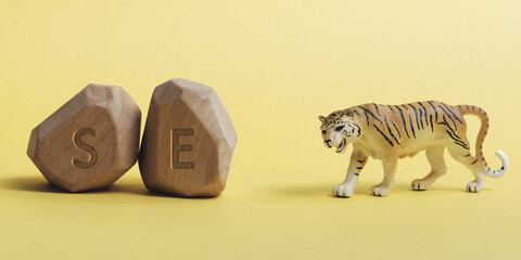 Letters SE written on wooden irregular blocks with tiger animal toy. Somatic experiencing therapy...