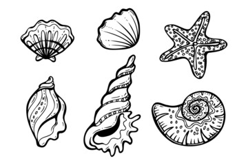 black and white seashells hand drawn set vector illustration isolated on a white background