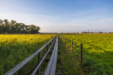 Fototapeta na wymiar Beautiful nature landscape view. Long wooden pathway through green field merging with blue sky. Sweden. 