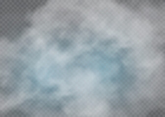 Fog or smoke isolated transparent special effect. White vector cloudiness, mist or smog background.