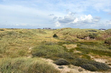 Obraz premium Dünen am Strand von Sankt Peter-Ording