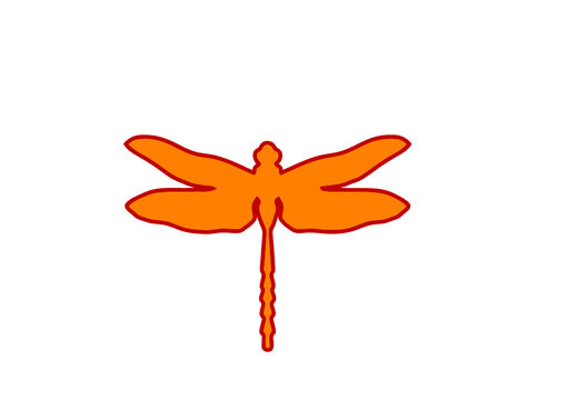 libellule