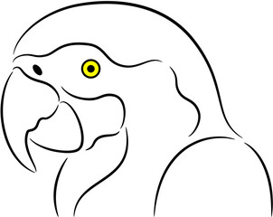 illustration of a cartoon parrot, isolated