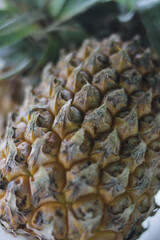 Close-up view of fresh Indonesian local pineapple harvested from the backyard.