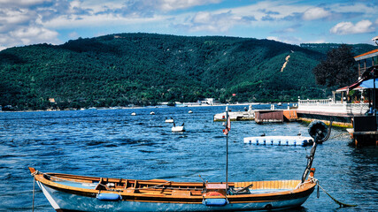 A fishing boat on the beach