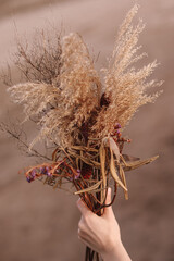 Obraz premium Woman's hand holding a bouquet of dried flowers on a blurred background. Autumn beauty in details