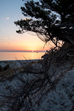 Sonnenaufgang über den Sand Dünen am Strand von Capo Comino Sardinien, Italien.