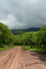 el alcomún