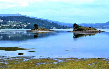 Fototapeta na wymiar Islas Alvedosas en la ría de Vigo, Galicia